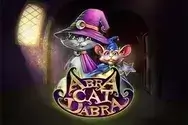 Abra Cat Dabra