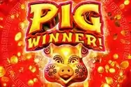 Pig Winner