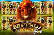 Buffalo Run Qu4d