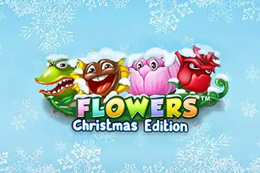 Flower Christmas Edition