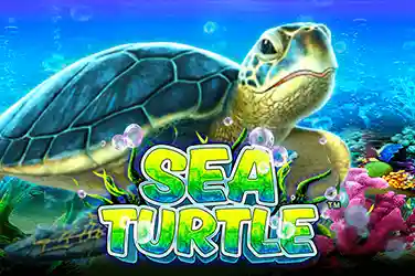 Sea Turtle