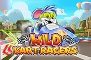 Wild Kart Racers