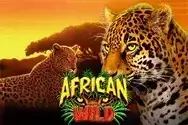 african-wild